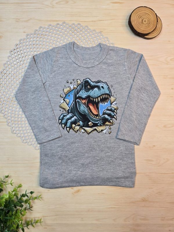 Camiseta Infantil Manga Longa Tradicional Mescla - Dinossauro