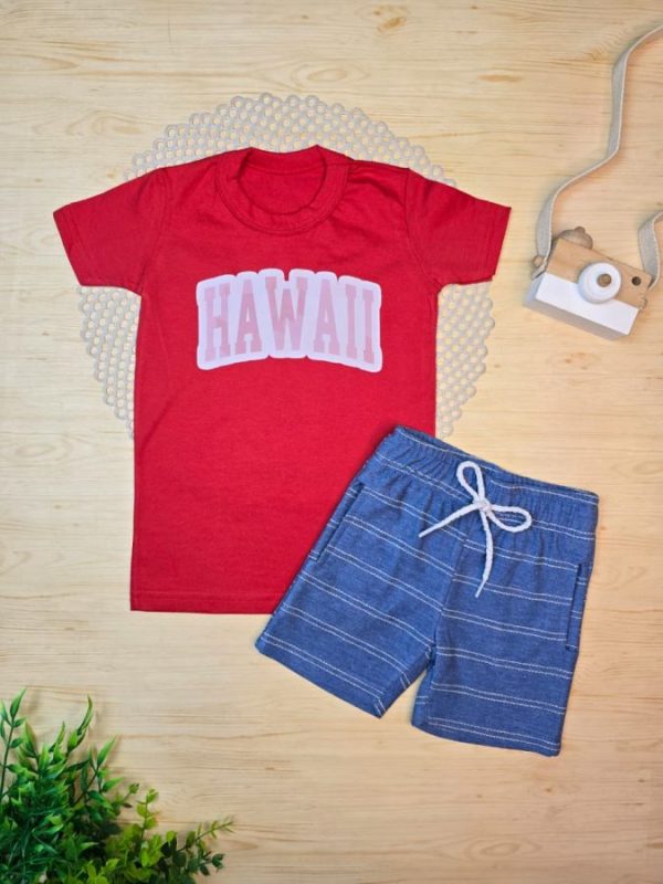 Conjunto Infantil Camiseta e Bermuda Moletinho - Hawaii