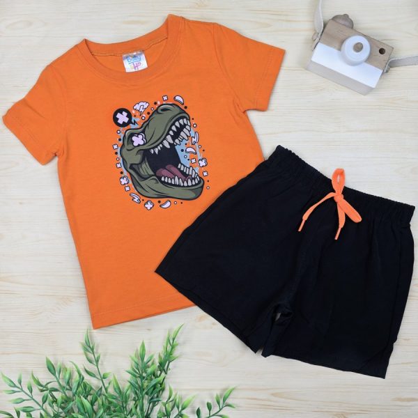 Conjunto Infantil Menino Camiseta e Shorts Tactel Preto - Dino